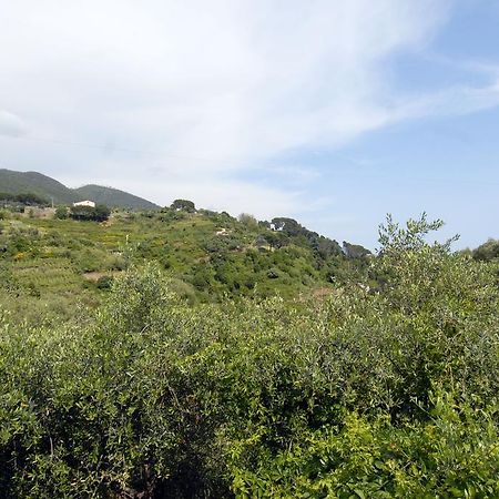 Villa Caribe Affittacamere Monterosso al Mare Eksteriør bilde